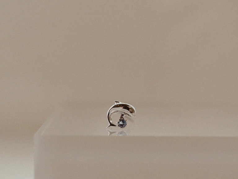 STONE DOLPHIN EARRINGS
